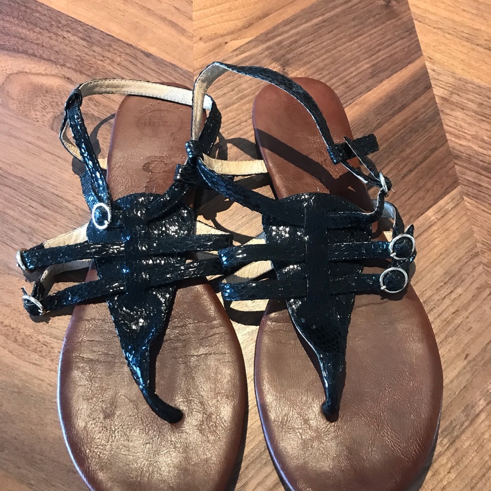 Jeffrey Campbell Johnny Ex Gladiator Sandal Snake